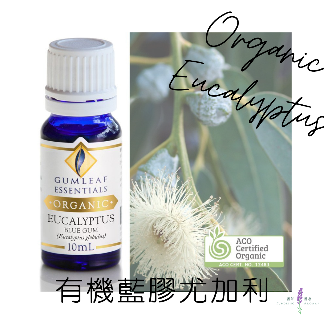 有機藍膠尤加利精油~澳洲原裝進口