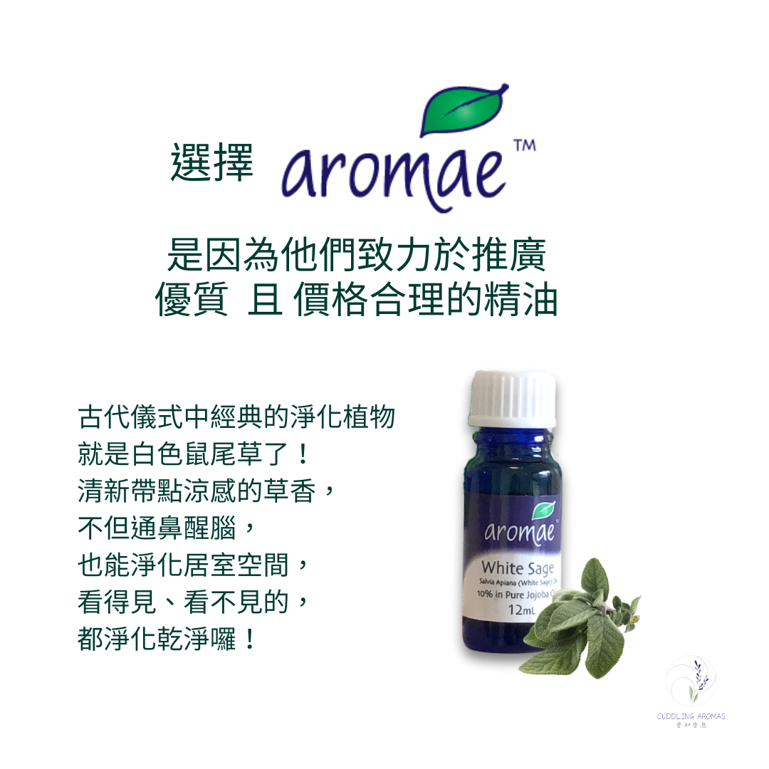 白色鼠尾草精油-10%~澳洲原裝進口