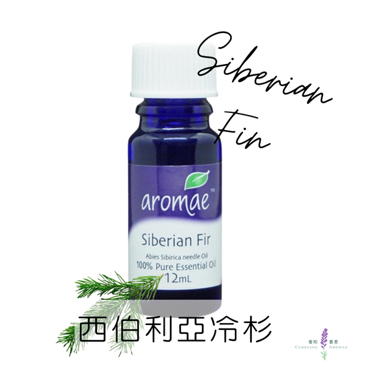 西伯利亞冷杉精油～澳洲原裝進口