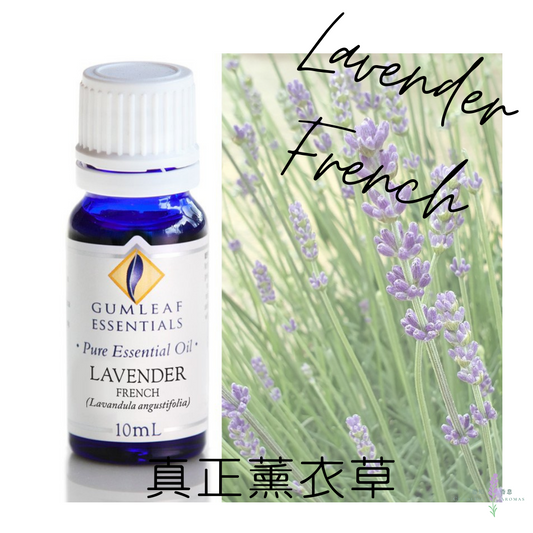 真正薰衣草精油～澳洲原裝進口