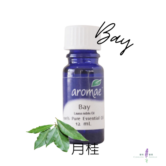月桂精油～澳洲原裝進口