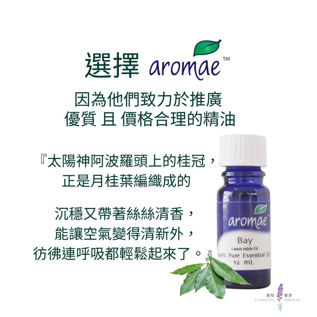 月桂精油～澳洲原裝進口