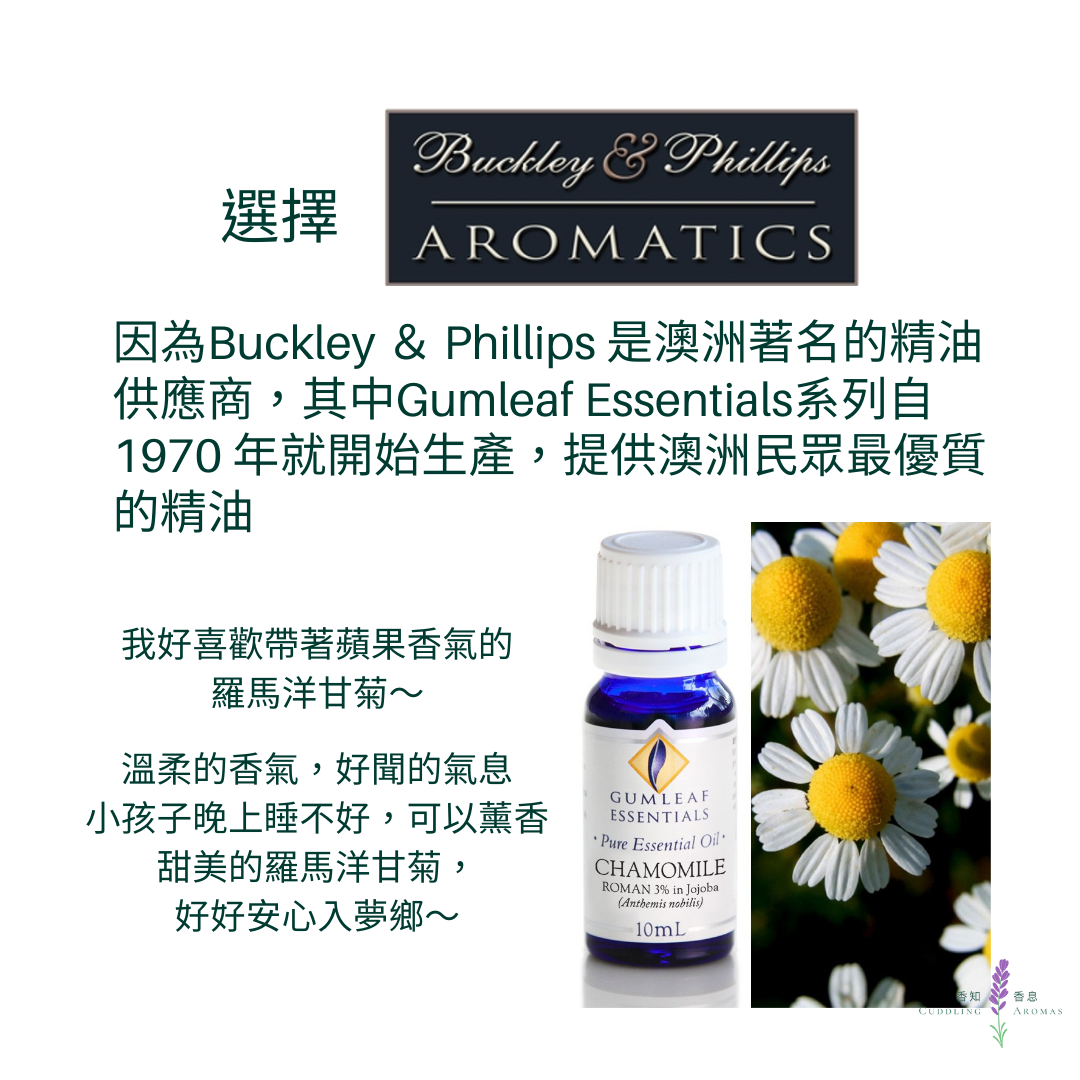 羅馬洋甘菊精油－3%～澳洲原裝進口