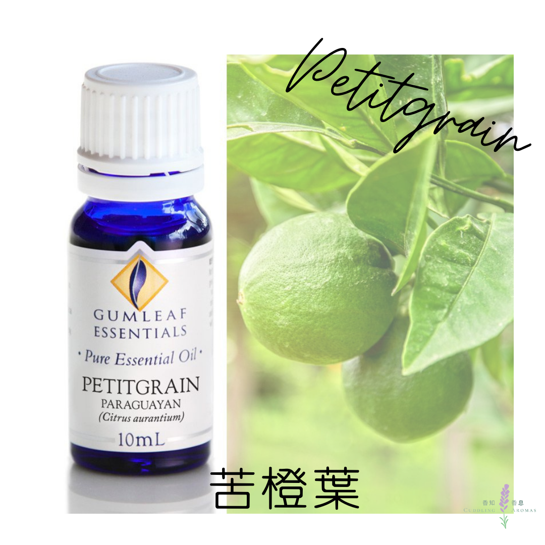 苦橙葉精油～澳洲原裝進口