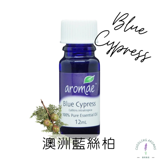 澳洲藍絲柏精油～澳洲原裝進口