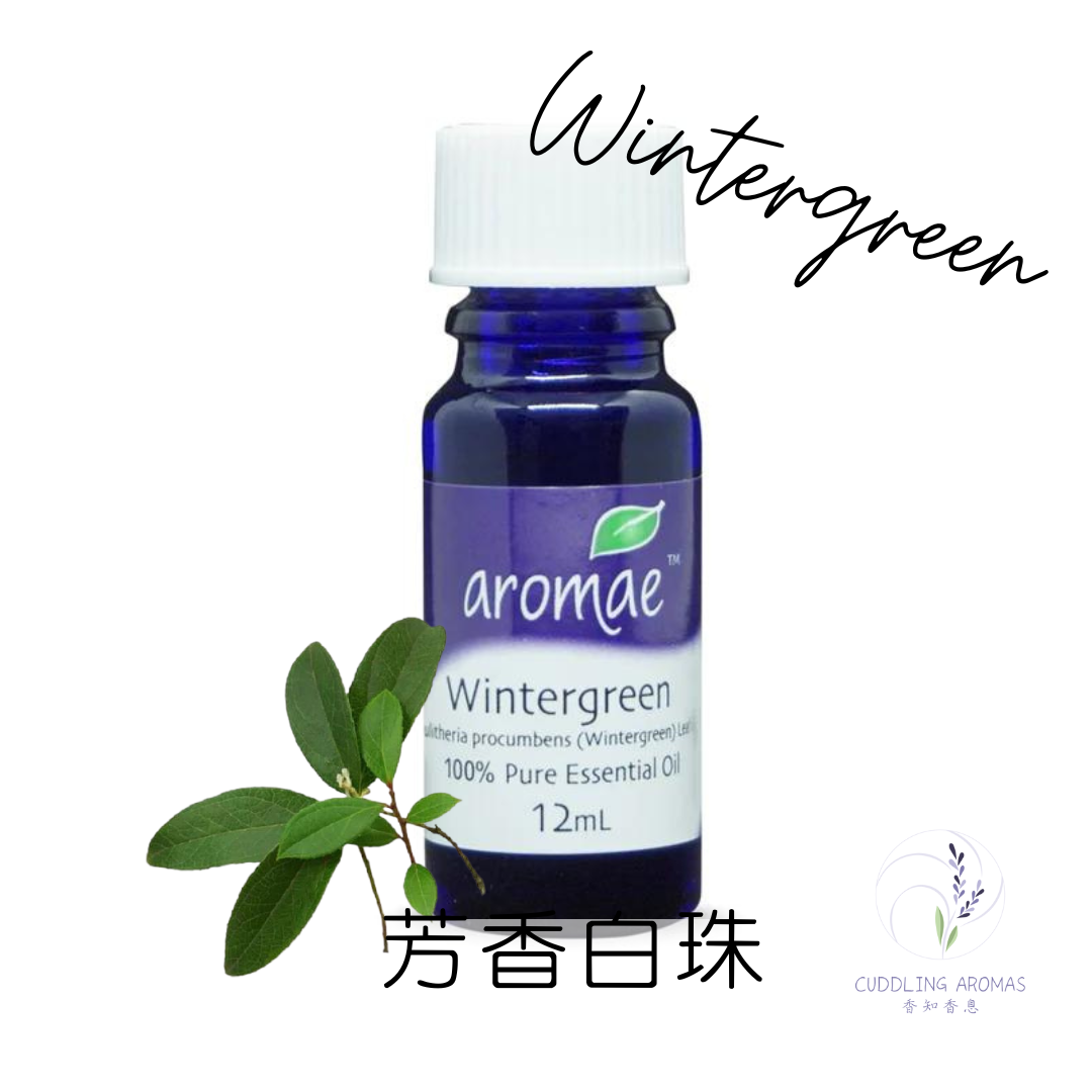 芳香白珠精油～澳洲原裝進口