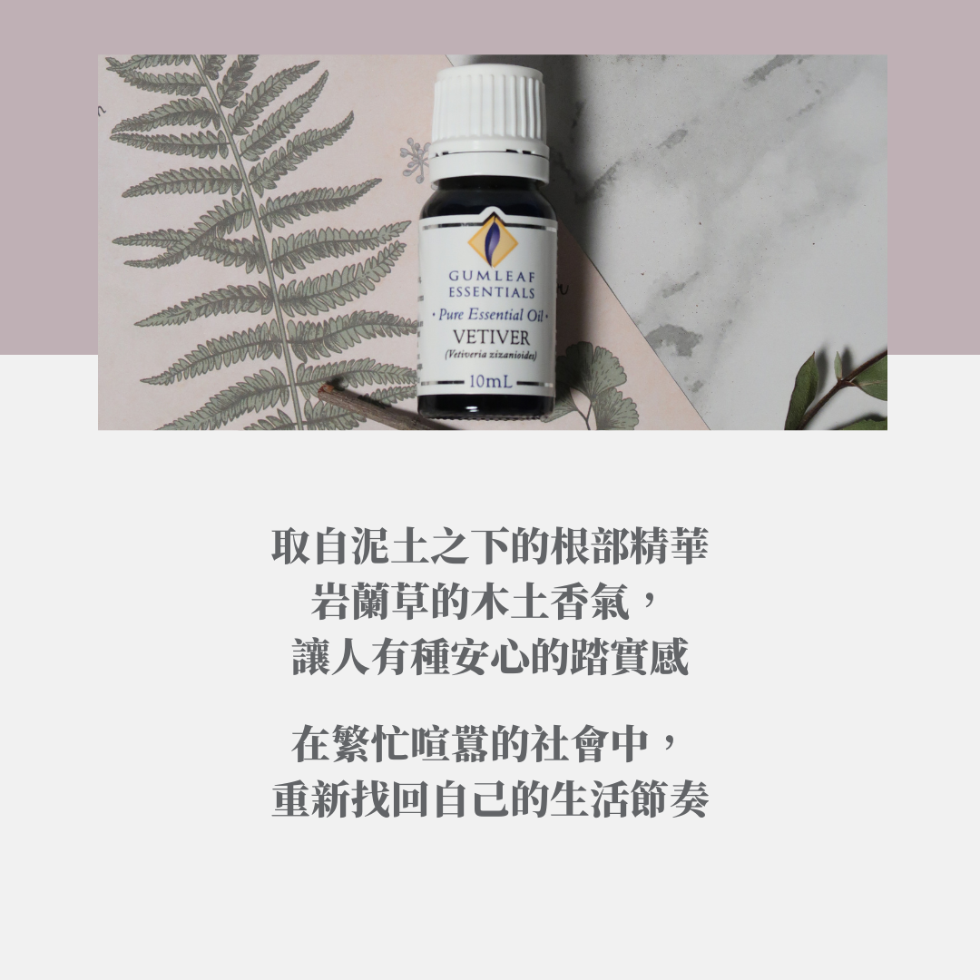 岩蘭草精油～澳洲原裝進口