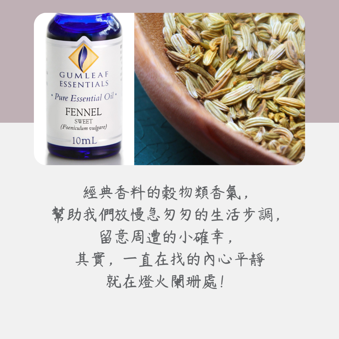 甜茴香精油～澳洲原裝進口