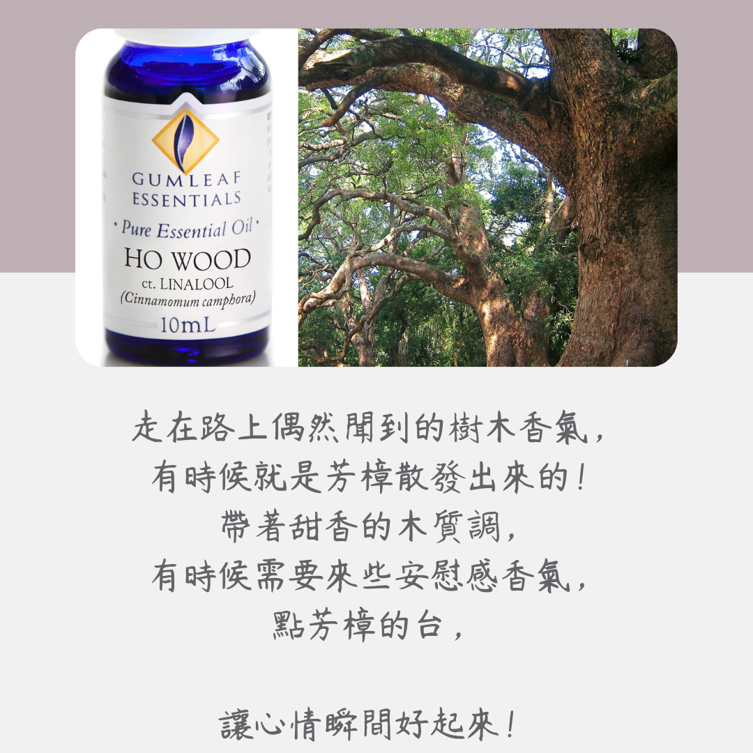 芳樟精油～原裝進口