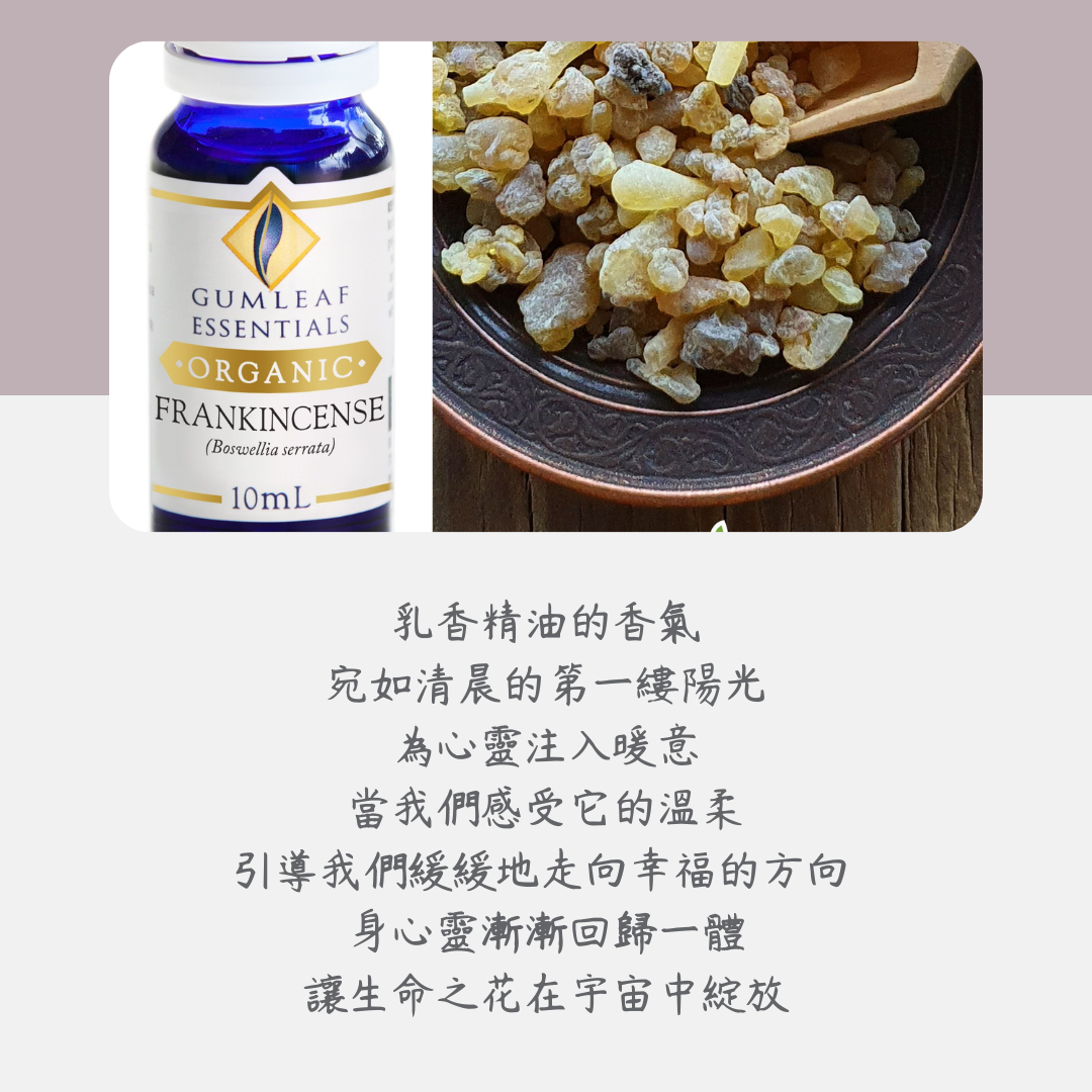 有機乳香精油～澳洲原裝進口