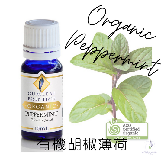 有機胡椒薄荷精油～澳洲原裝進口