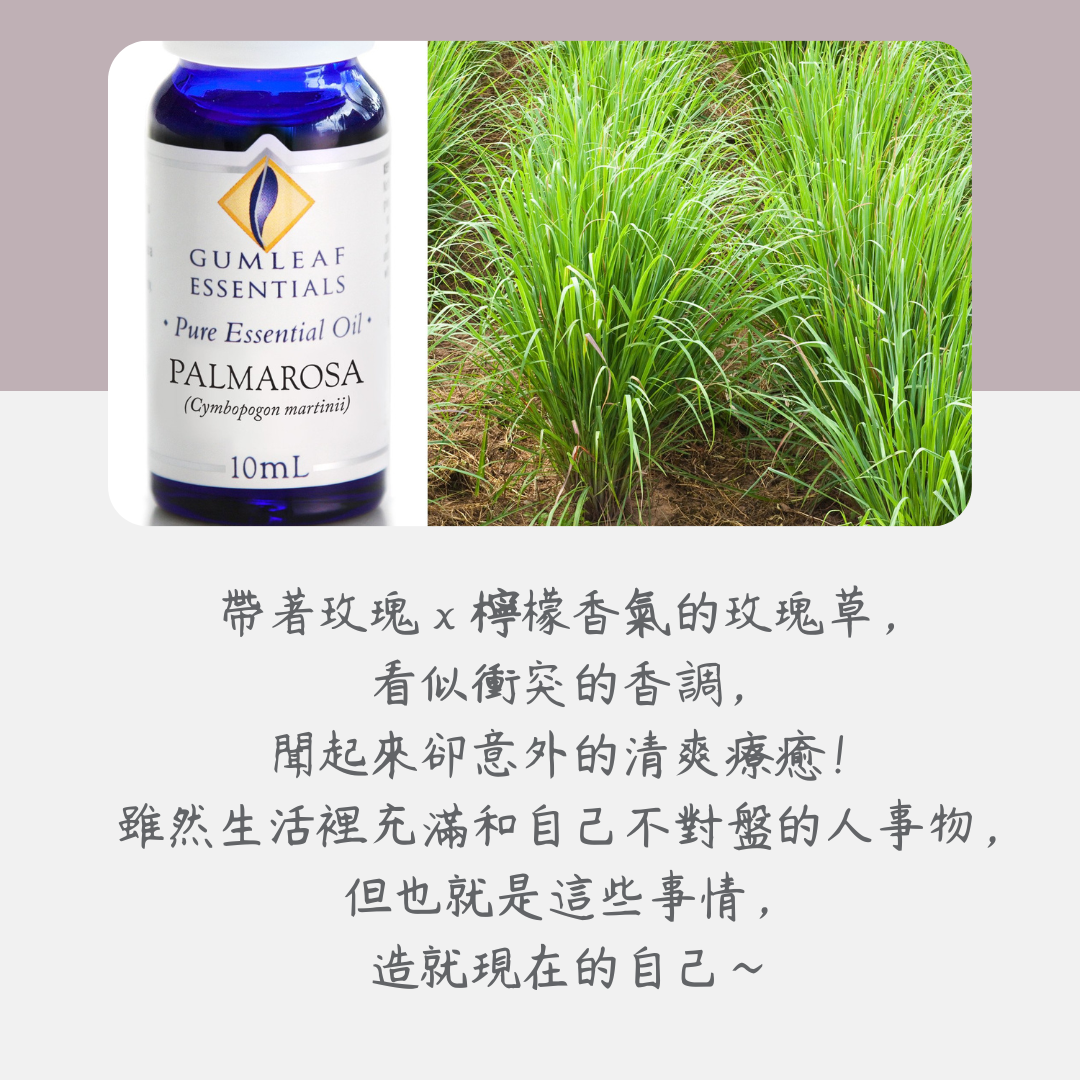 玫瑰草精油～澳洲原裝進口