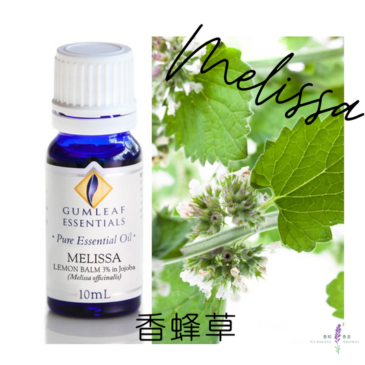 香蜂草精油－3% 澳洲原裝進口