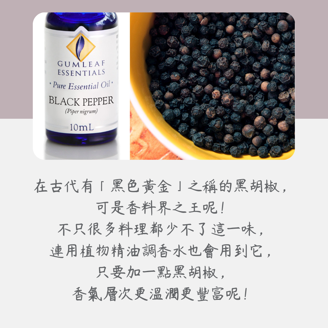 黑胡椒精油～澳洲原裝進口