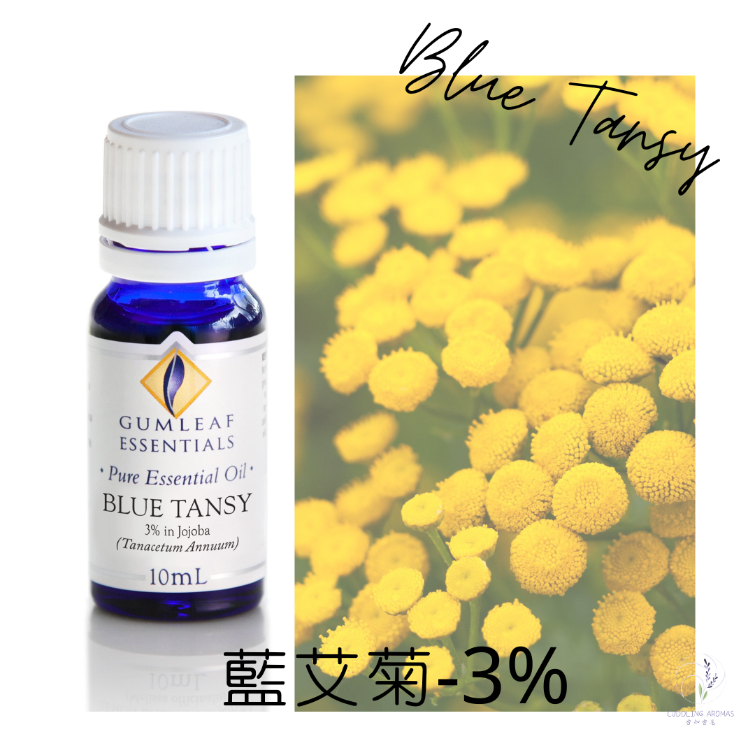 藍艾菊精油－3%～澳洲原裝進口
