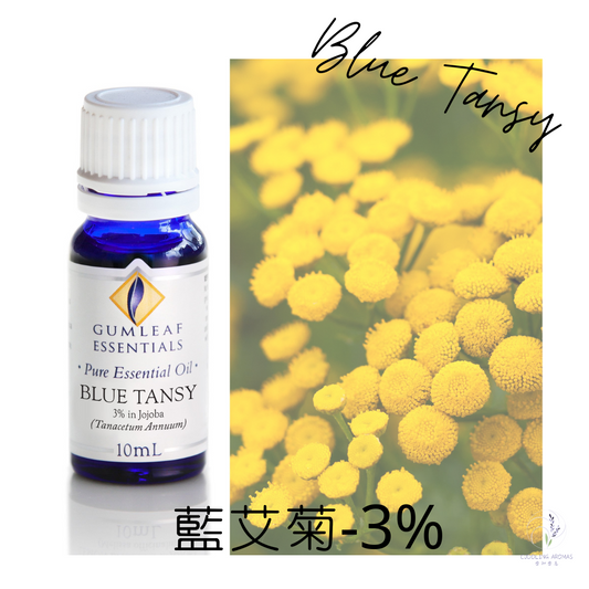 藍艾菊精油－3%～澳洲原裝進口