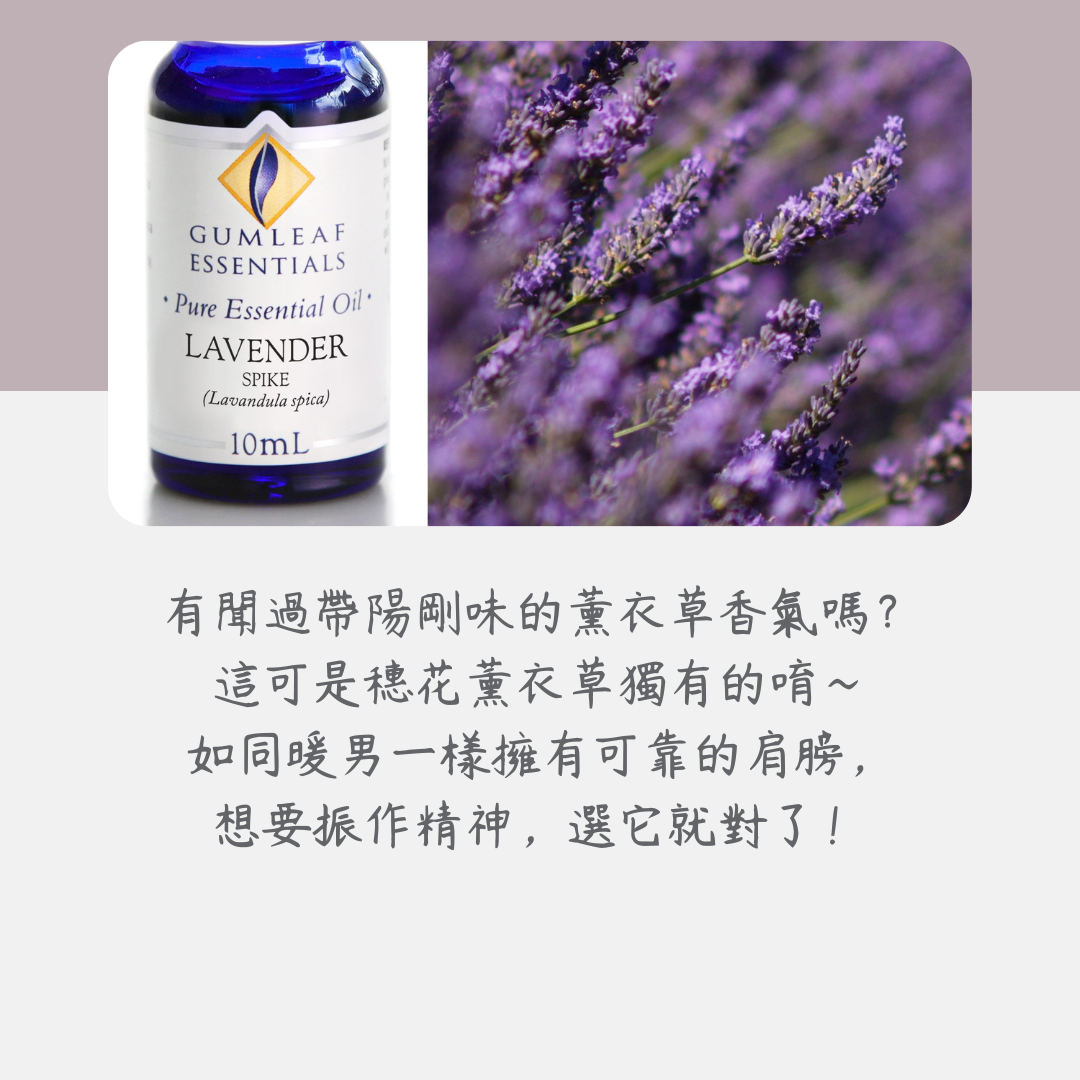 穗花薰衣草精油～澳洲原裝進口