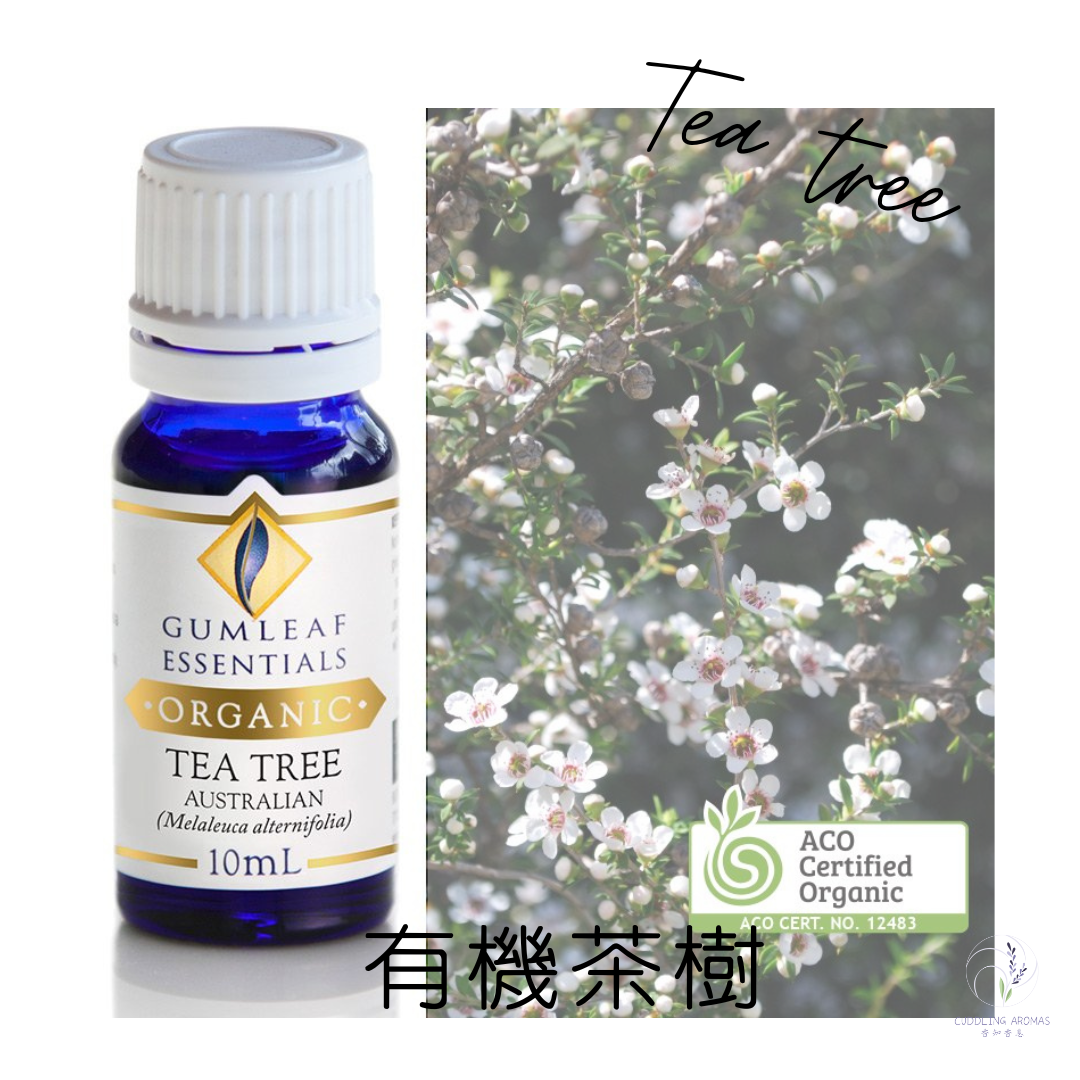 有機澳洲茶樹精油～澳洲原裝進口