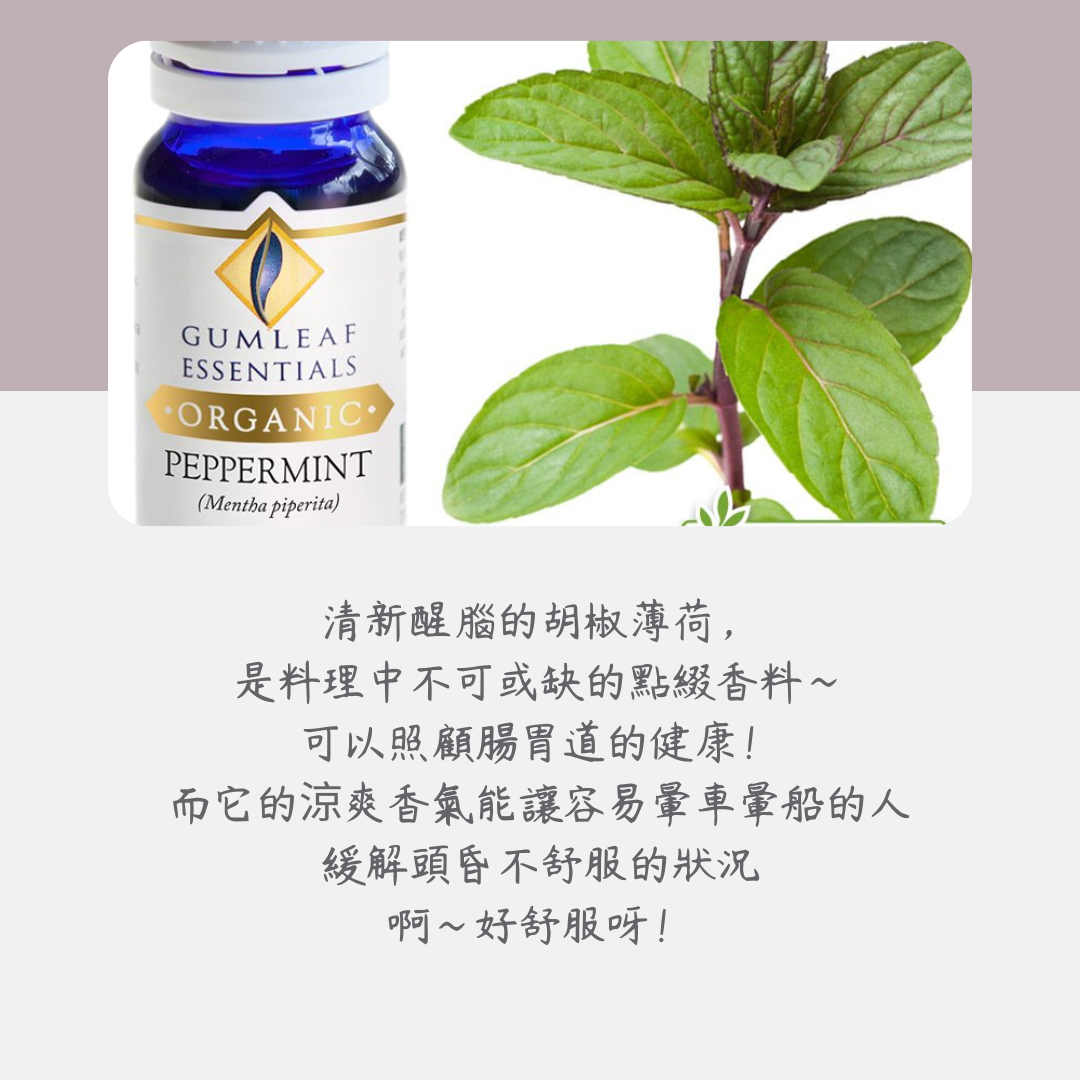 有機胡椒薄荷精油～澳洲原裝進口