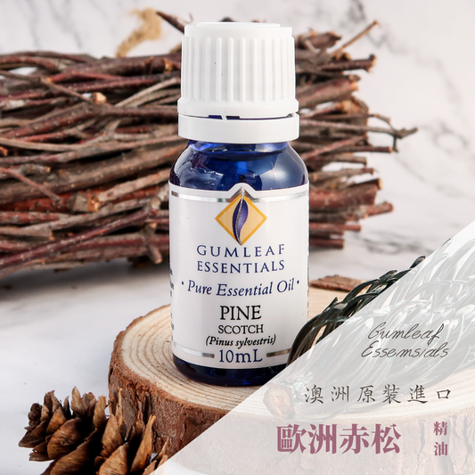 歐洲赤松精油～澳洲原裝進口
