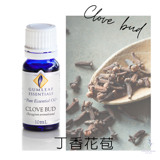 丁香花苞精油～澳洲原裝進口