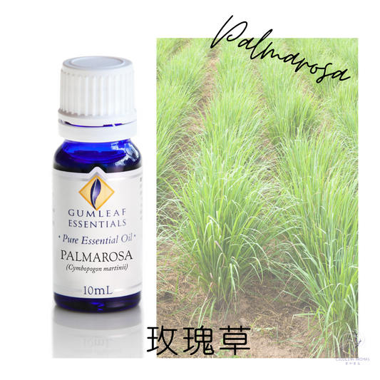 玫瑰草精油～澳洲原裝進口