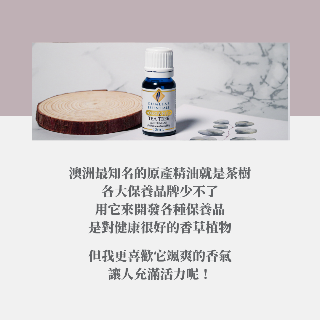 有機澳洲茶樹精油～澳洲原裝進口